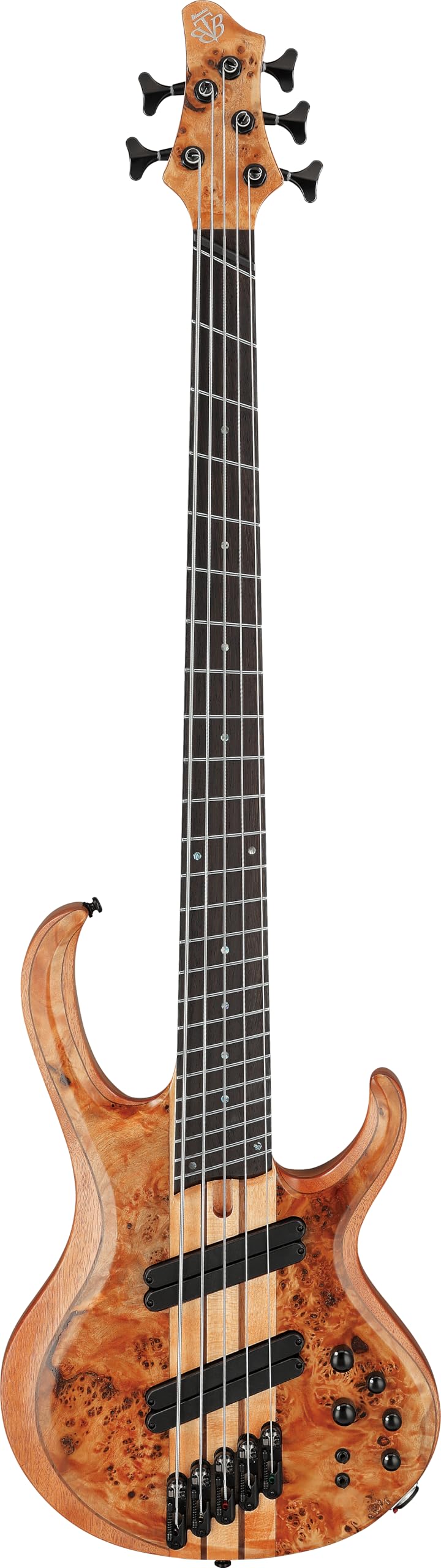 Amazon | Ibanez(アイバニーズ) エレキベース 5弦 Florid Natural Low